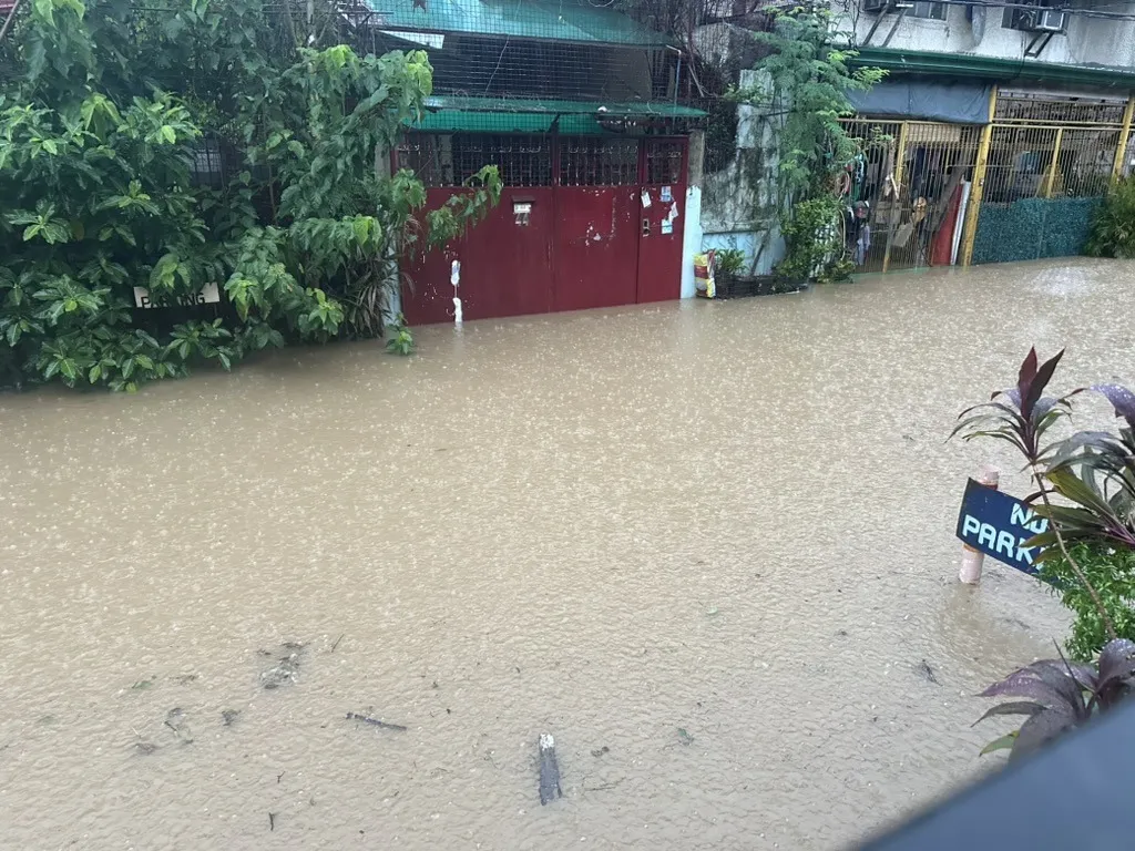 A residential street completely submerged in brown floodwater. The water has risen most of the way up a red steel gate, swallowing the parking sign beside it, with green foliage and house roofs above the waterline.